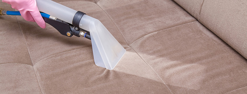 RD Weis surface care upholstery cleaning services